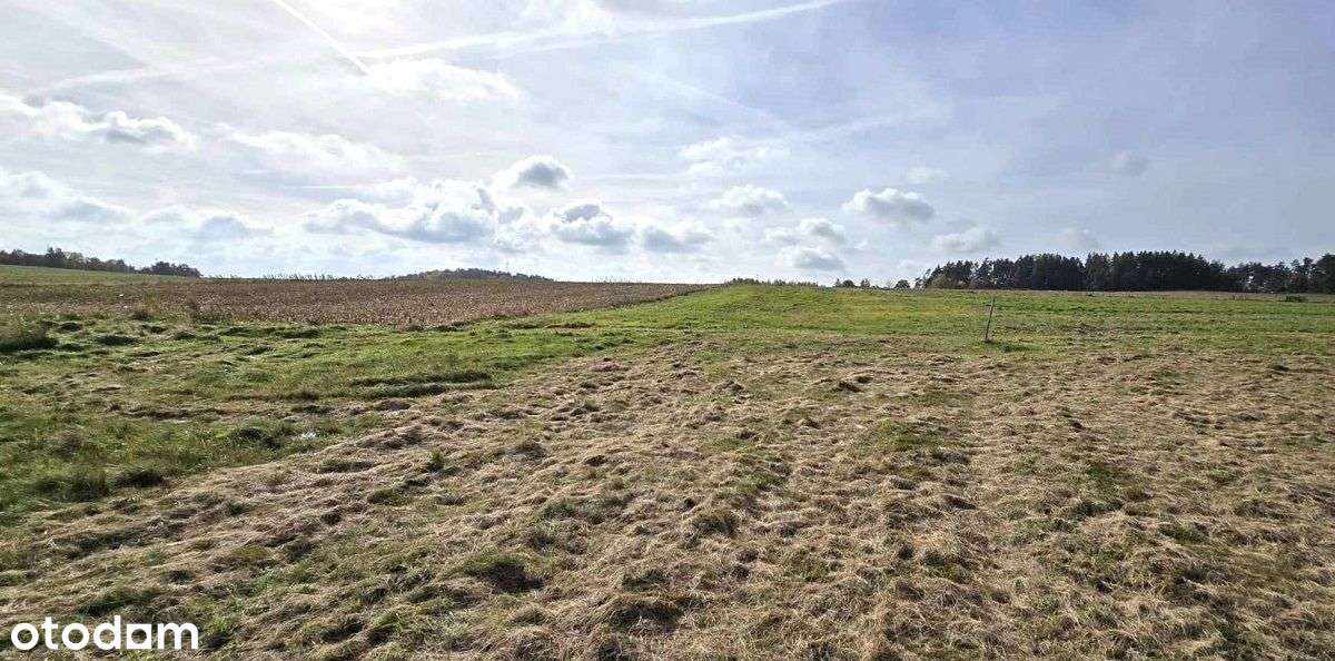 działka budowlana w Henrykowie Lubańskim - okazja-8