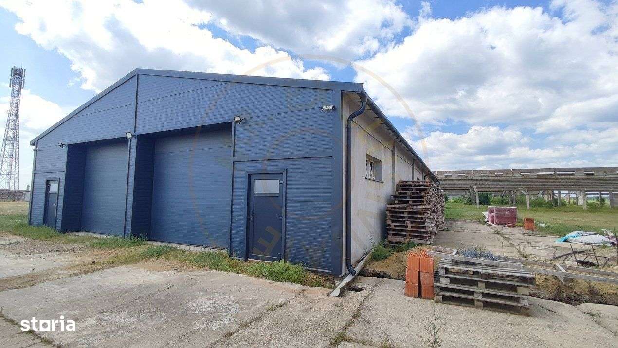 De Vanzare Ferma Piscolt Teren 64.000 mp- Piscolt SM - Comision 0% cum - Imagine principală: 5/19