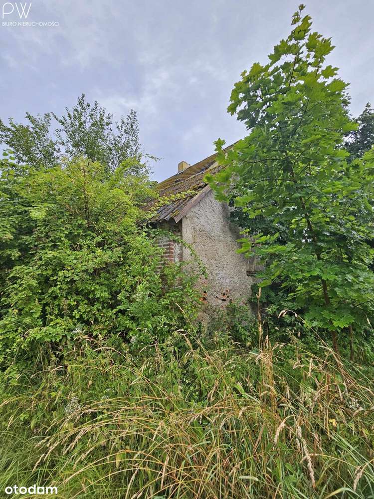 Okazja! Zabytkowy dworek! - Pełny obrazek: 4/14