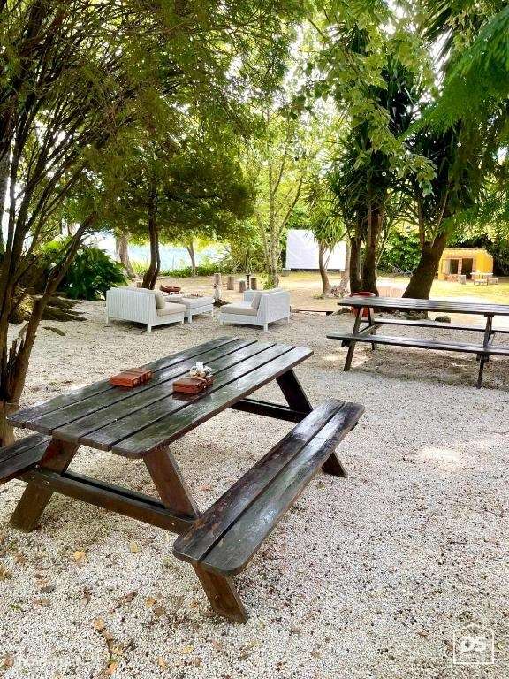 Douro Vinhateiro, Quinta Turística-26