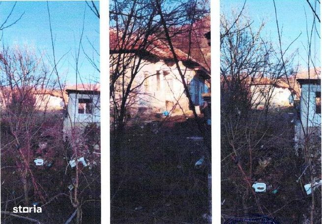 Casa si teren Valea Mare Podgoria, cota 1/2 , ID: R2618541-6