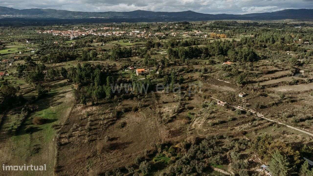 Quinta / Fundão, Orca - Grande imagem: 4/5