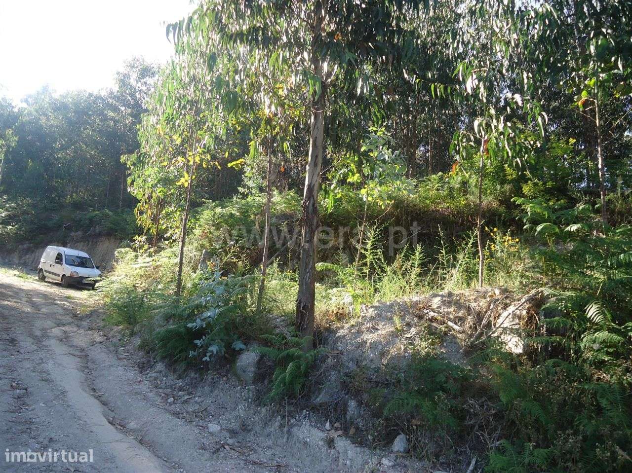 Terreno - Grande imagem: 4/9