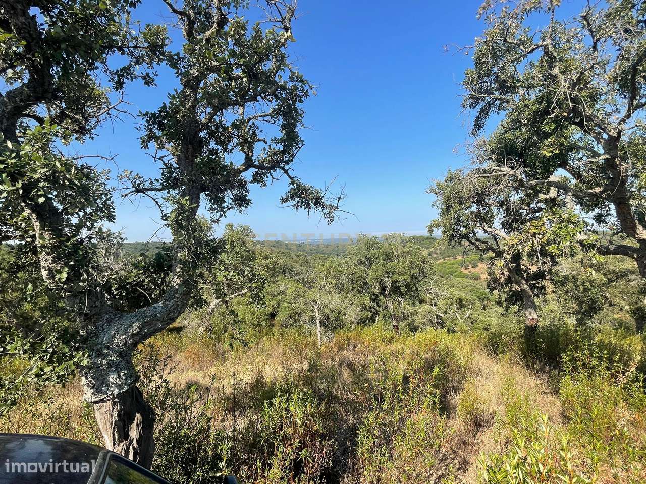Terreno com 50 Ha , com vista fantástica em Melides - Grande imagem: 3/6