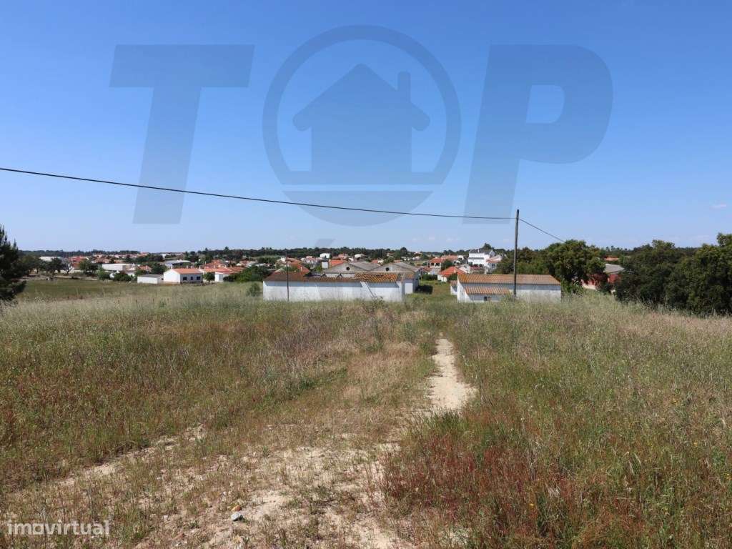 Terreno com equipamento agrícola - 34250m2 - 550.000€ - Grande imagem: 5/14