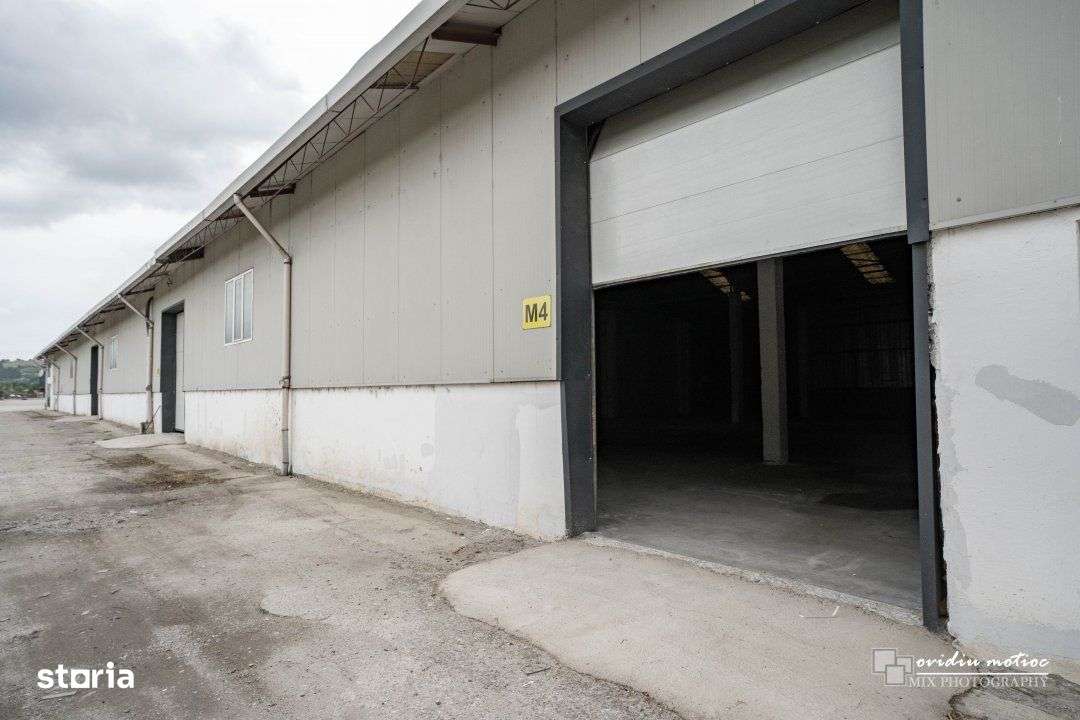 Modul hala 200-400 mp, Calea Baciului - Imagine principală: 1/6