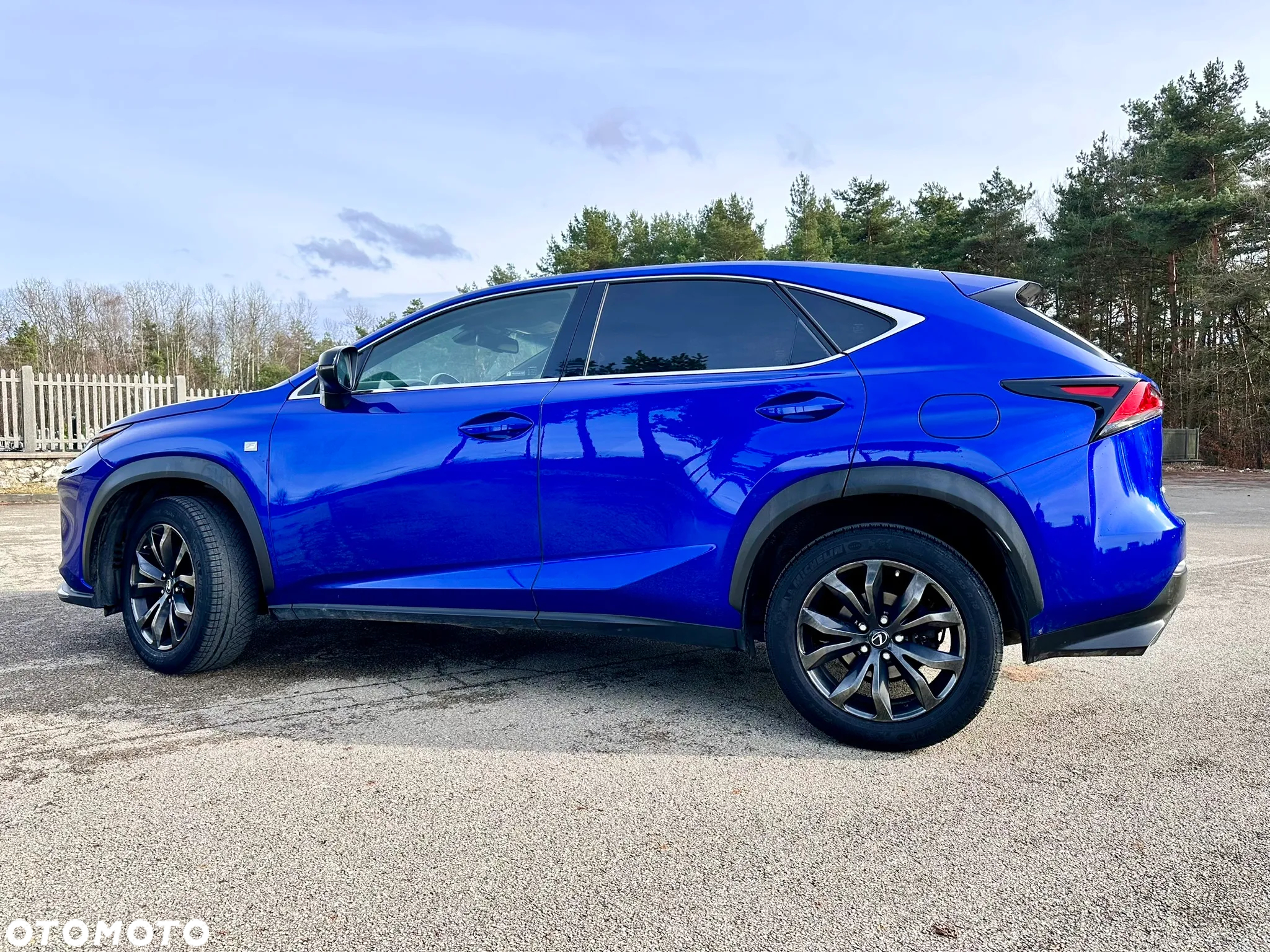 Lexus NX 300 F Sport AWD - 26