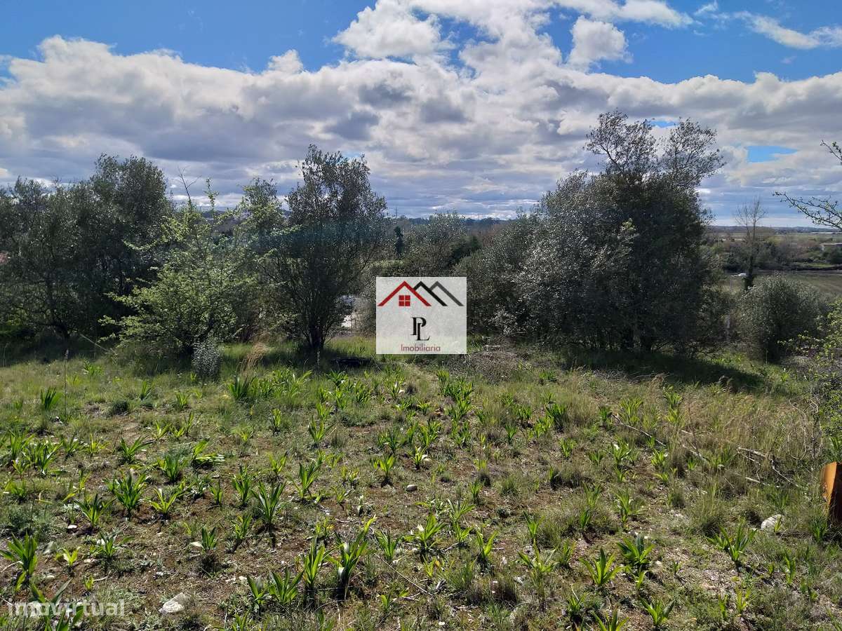 Terrenos para construção de Armazéns ou Unidade Fabril.-11