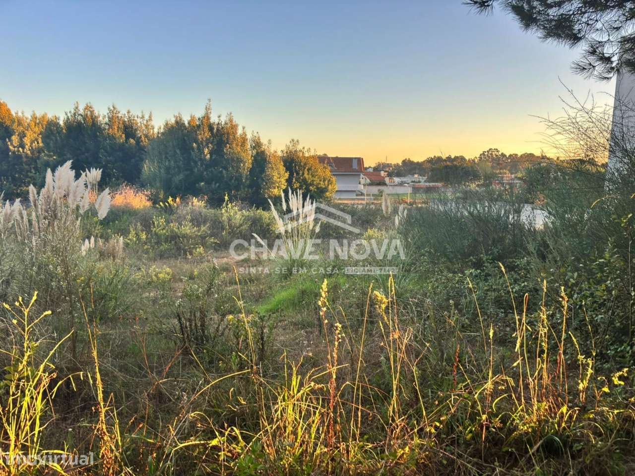 Terreno para Construção de Moradia Unifamiliar- Lote 5 - Grande imagem: 1/9