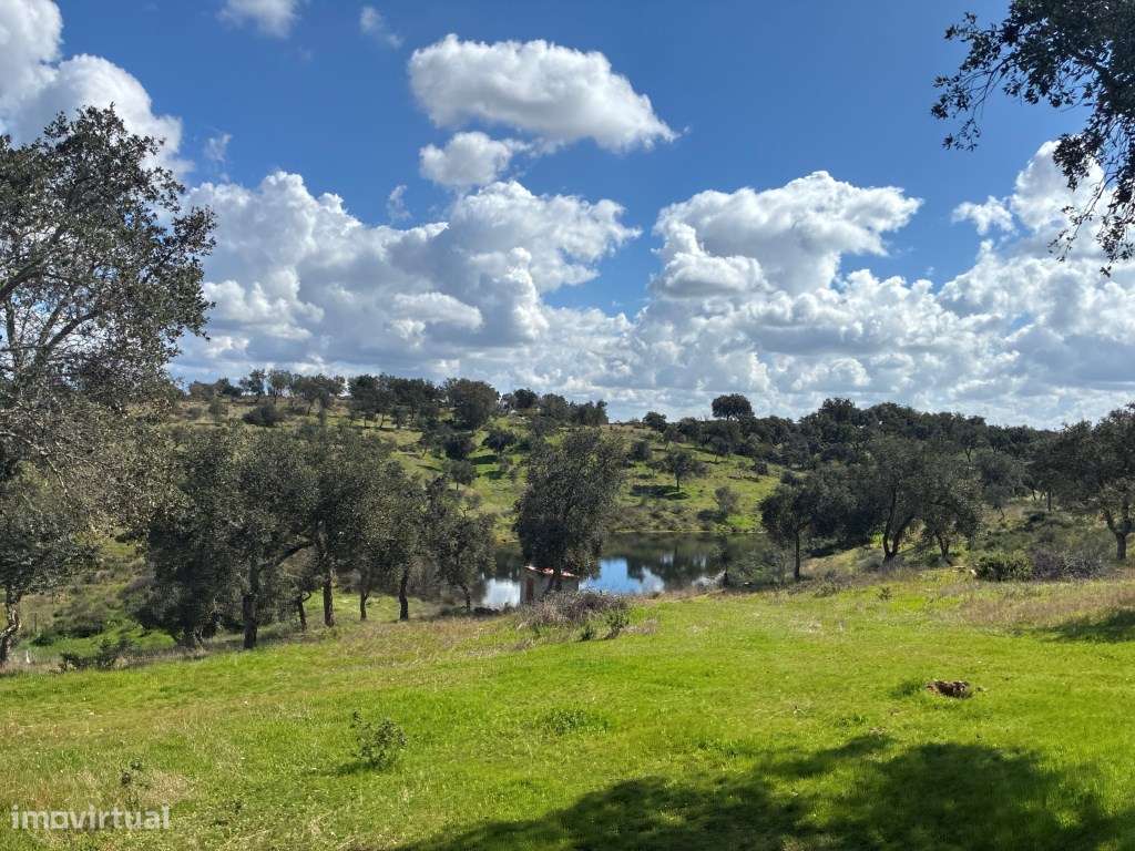 Quinta T2 em Serpa | Vista para a barragem-37