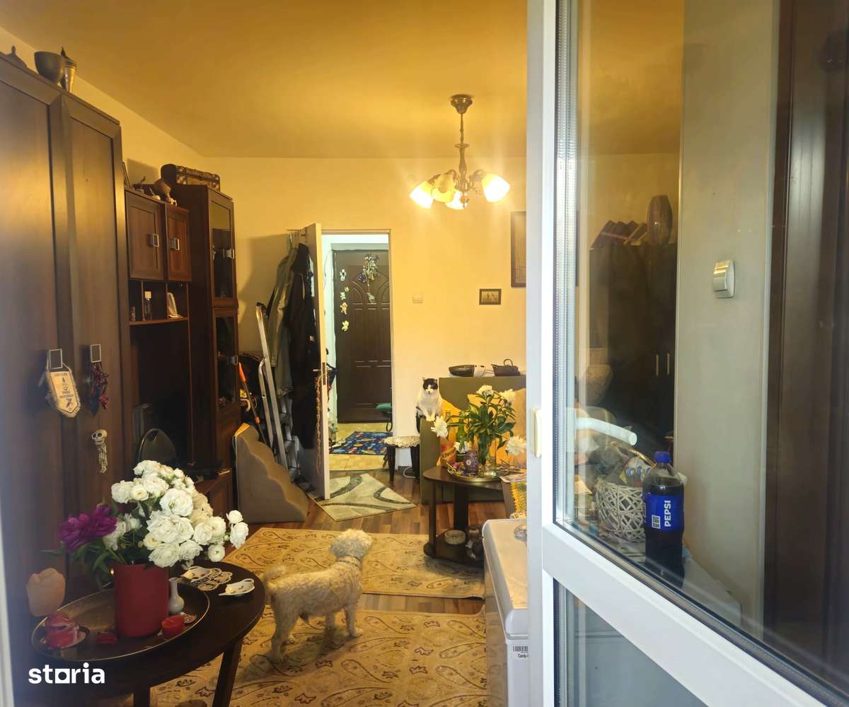 Garsoniera renovata , spatioasa , Strada Soldat Ghita Serban-3