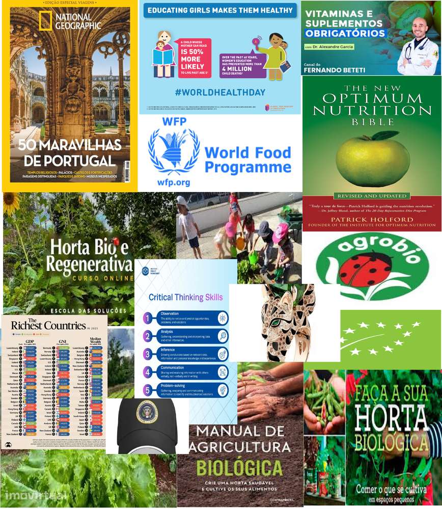 473Googoplex$Rental GHAIGCFU1E1SDGs35UN ONUGoalsdBiodynmRegenFarmHouse - Grande imagem: 4/60