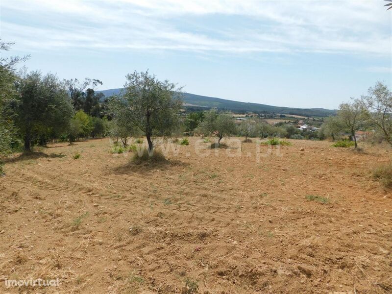 Terreno / Fundão, Salgueiro