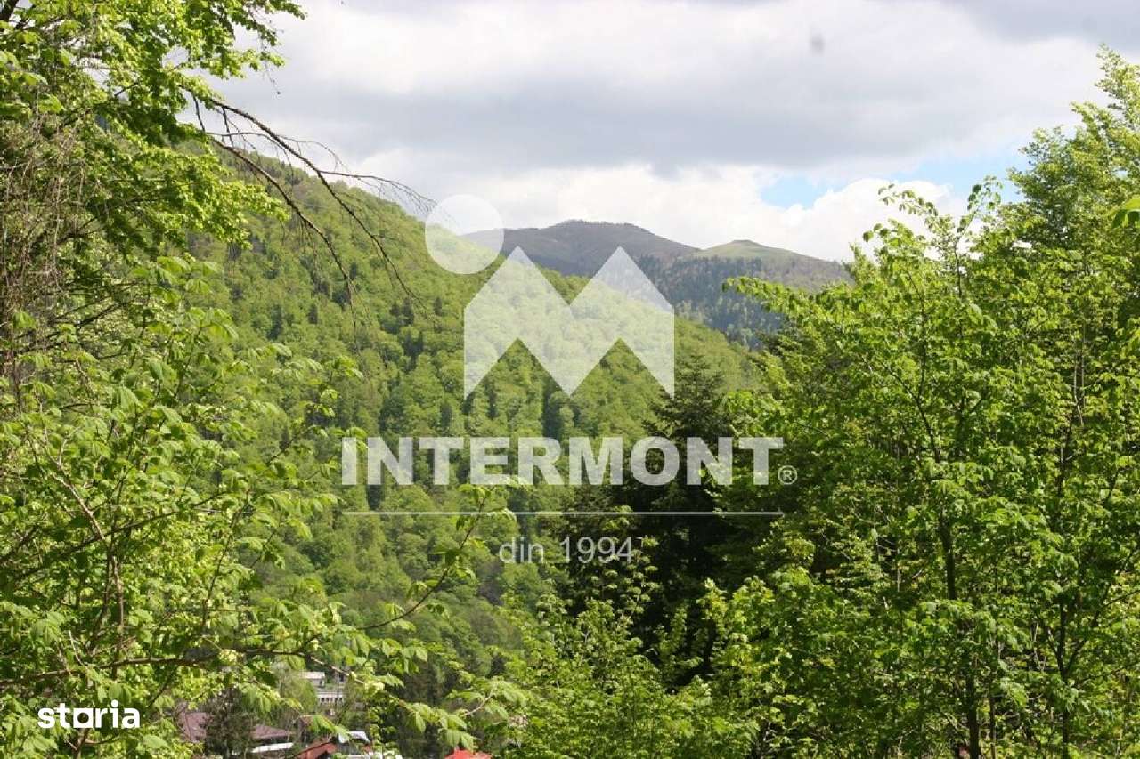 Teren de vânzare în Sinaia, aproape de centru. - Imagine principală: 4/10