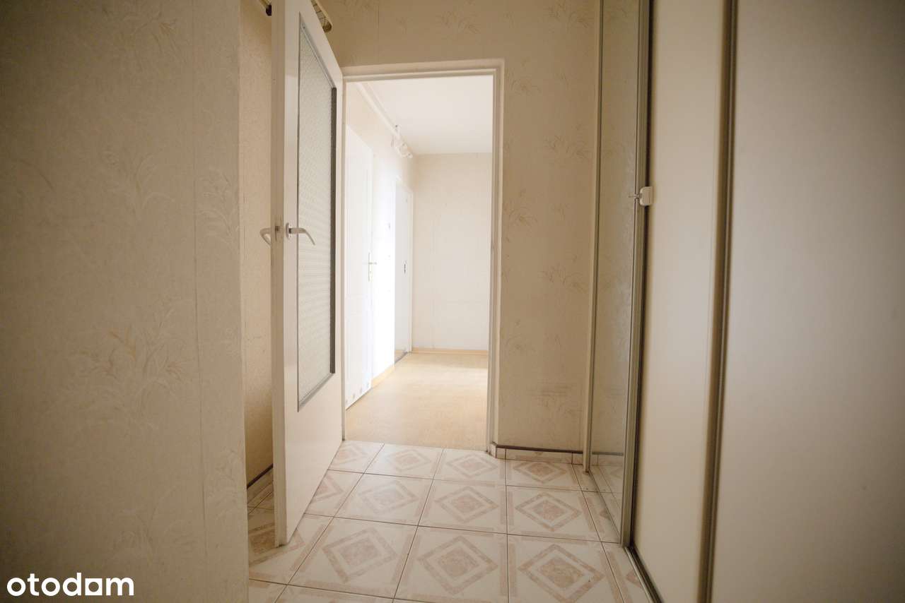 Poznań Jeżyce Centrum 3 pokoje Sołacz Park - Pełny obrazek: 4/10