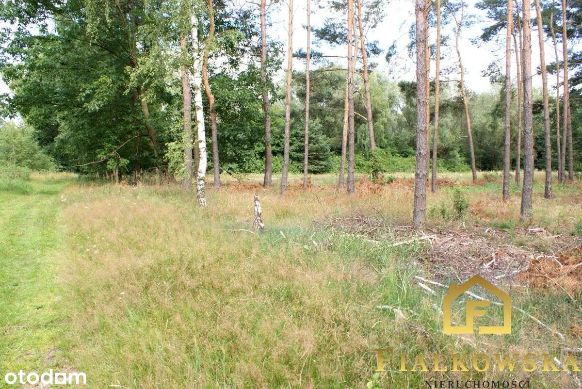 Działka usługowo - mieszkaniowa Mpzp Drzonków-3