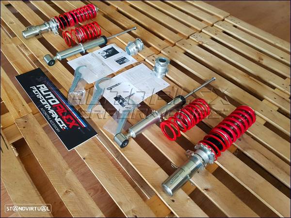 Coilovers Profundos Audi + Seat + Skoda + VW - 3