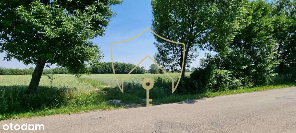 Parcele z dobrym dojazdem do centrum i autostrady - Pełny obrazek: 5/8