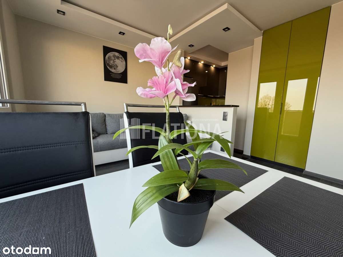 Idealna oferta inwestycyjna w Gdyni - Pełny obrazek: 2/17