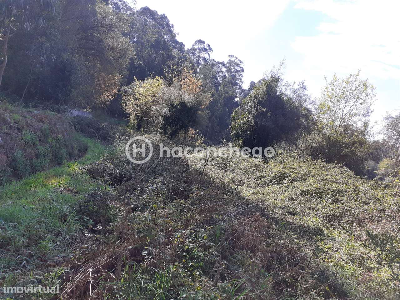 Terreno agricola Alvito São Pedro Barcelos-3