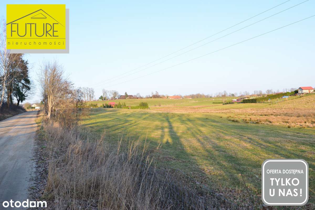 Działka letniskowa blisko jeziora Taftowo - Pełny obrazek: 5/13