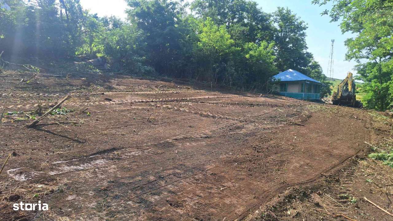 Teren intravilan în Rediu, jud Iasi - Imagine principală: 3/6