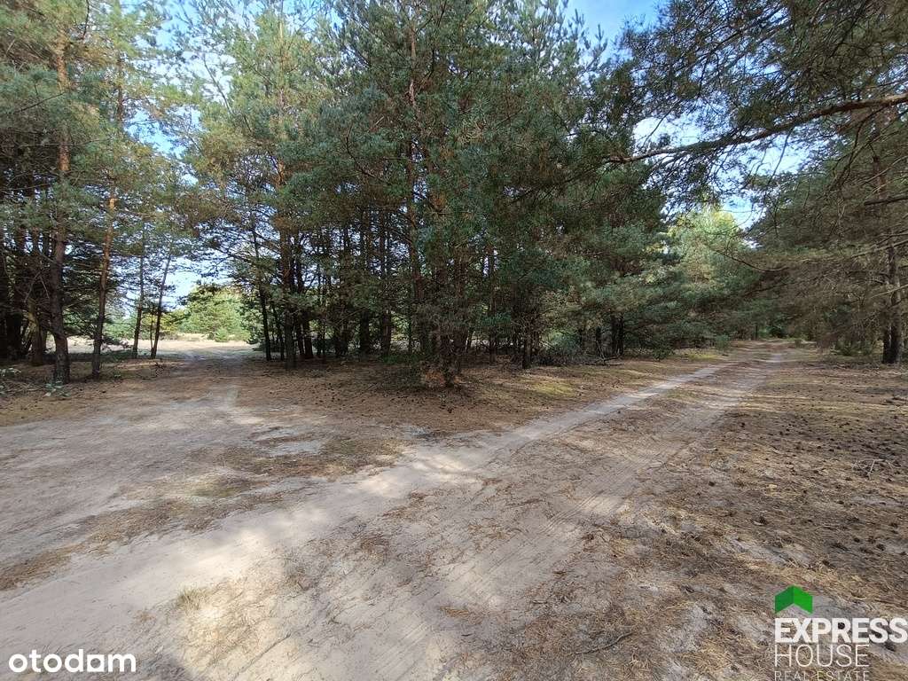 Działka rekreacyjna w otulinie lasu. - Pełny obrazek: 4/5