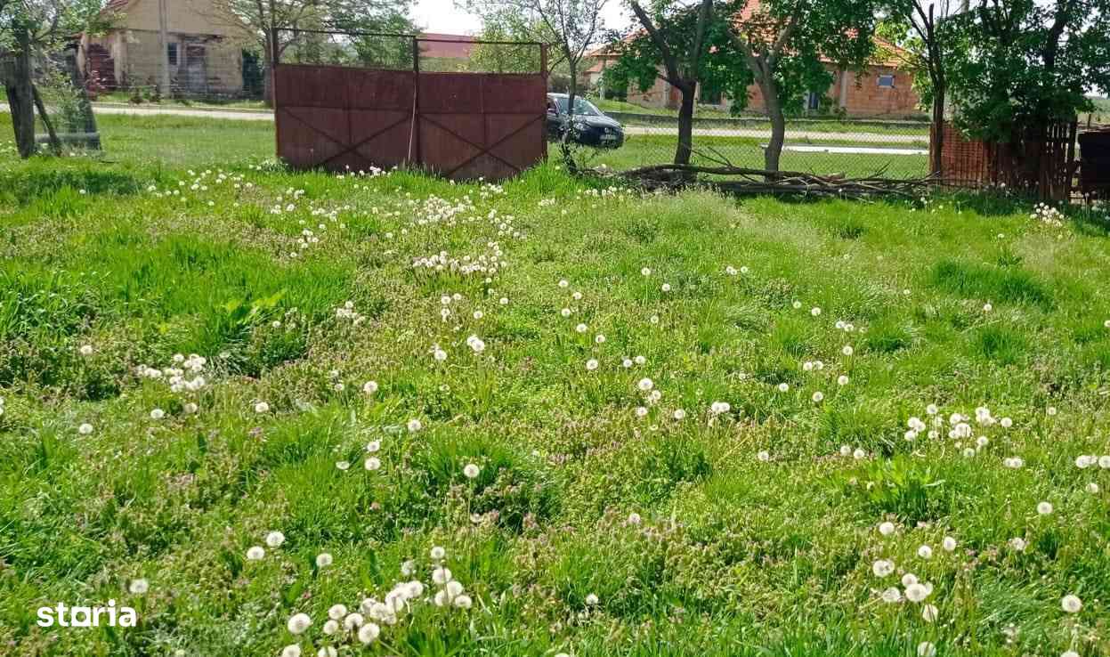 Vând teren, 807 mp Tilecus-1