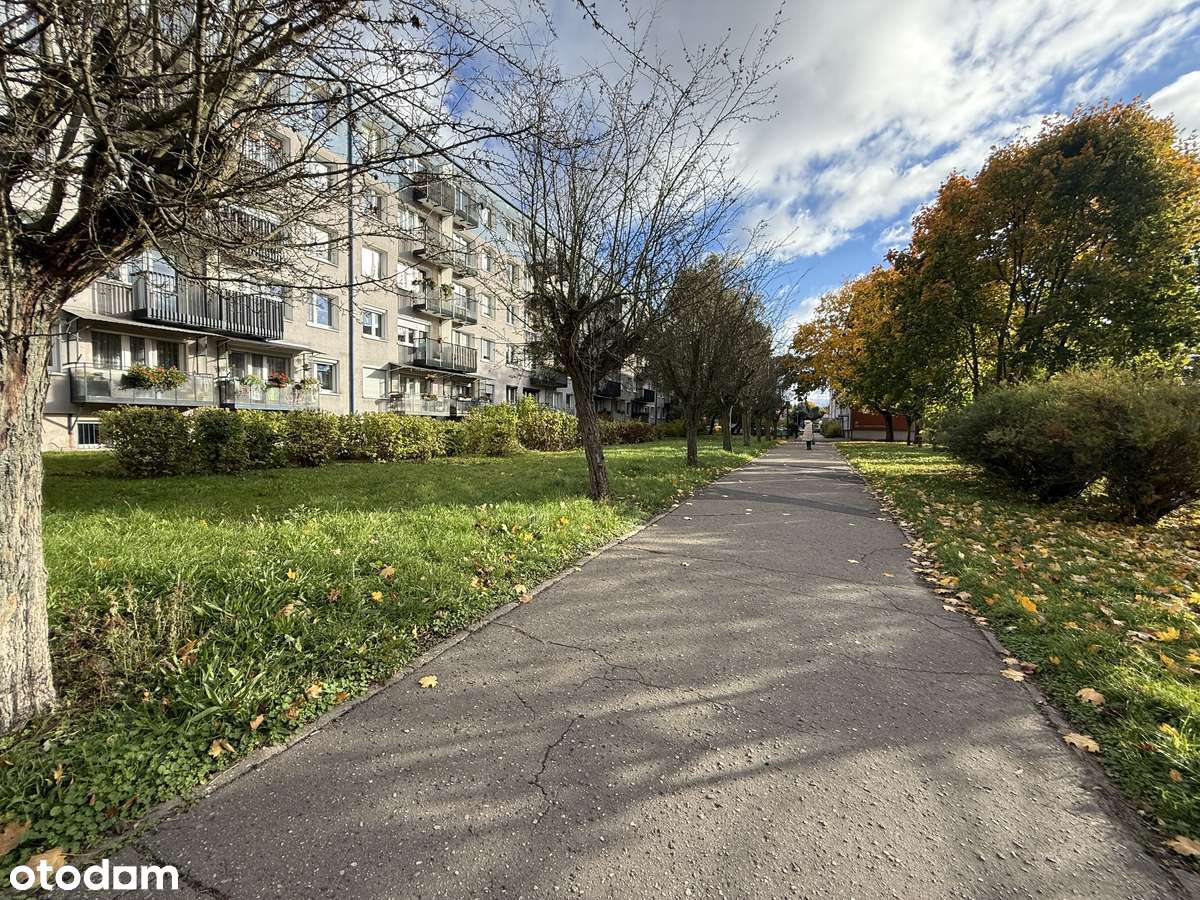 Mieszkanie z potencjałem i pięknym widokiem na zieleń | Winogrady-14