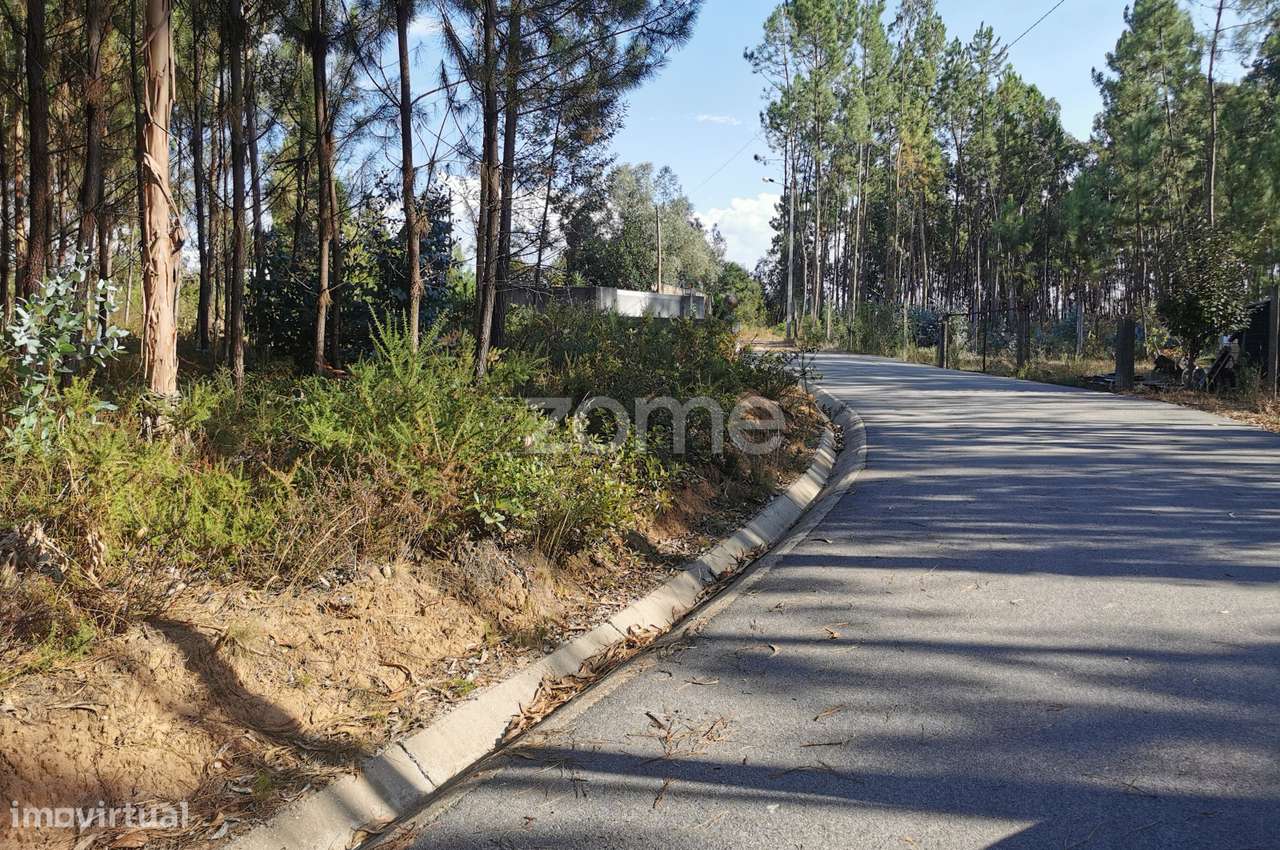 Terreno, acesso betuminoso, viabilidade construtiva, Recardães, Águ... - Grande imagem: 5/21