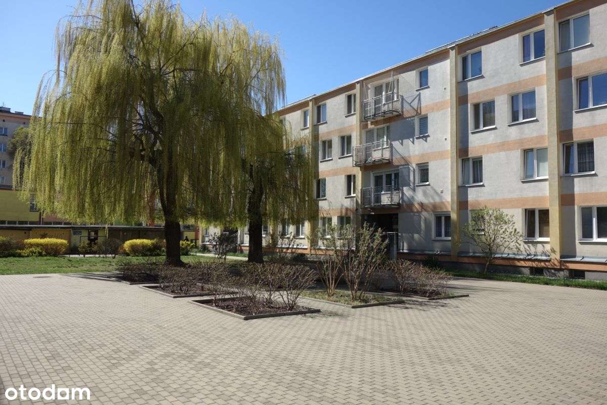 Trzy Pokoje w Niskim Bloku z Cegły-0