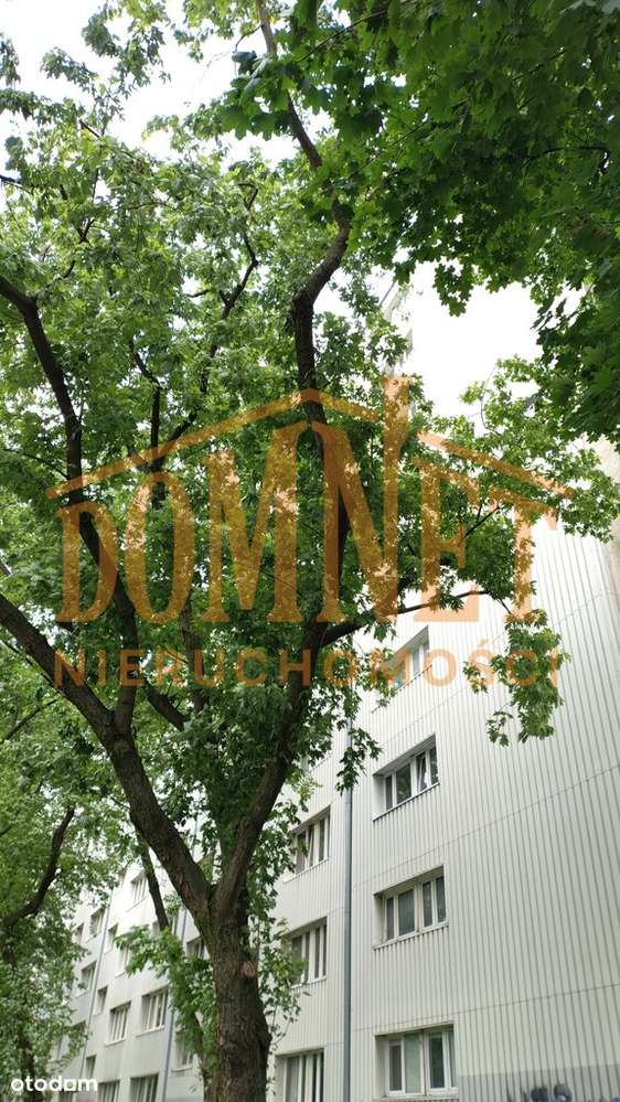 Mokotów 2/3 pokoje rozkładowe idealne  pod wynajem-13