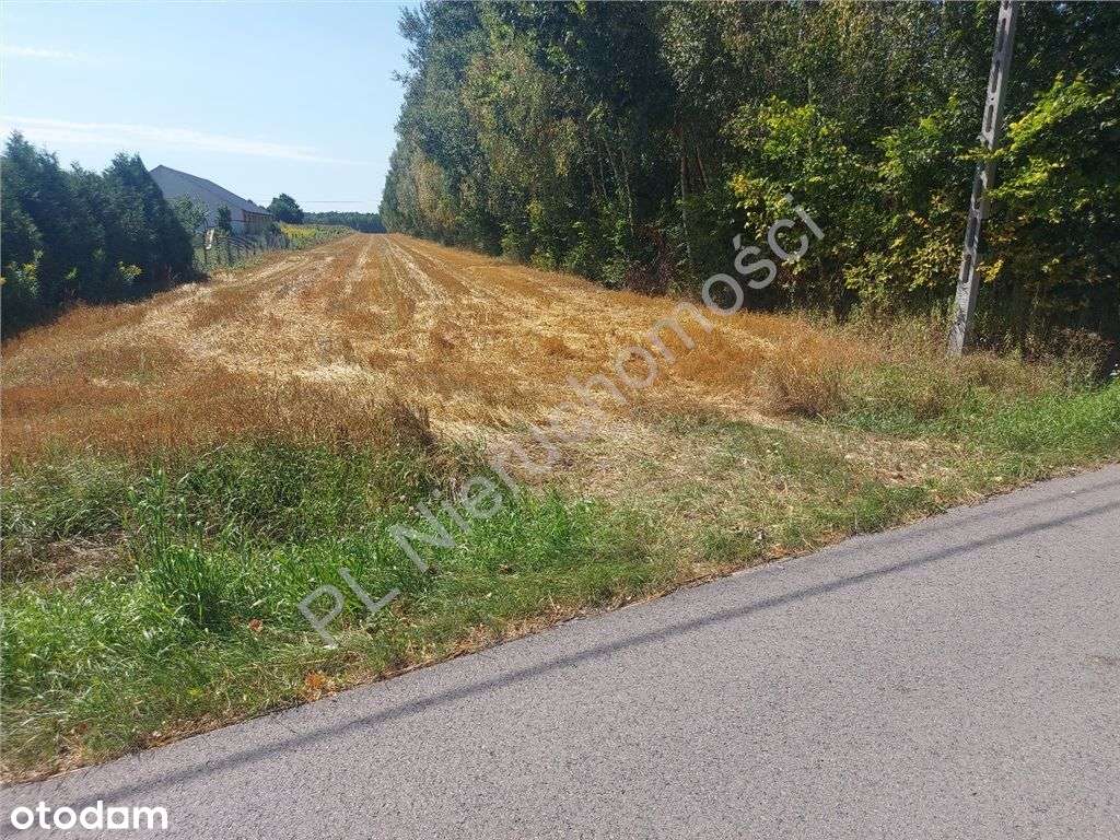 Działka w Zamieniu-dobry dojazd - Pełny obrazek: 5/9