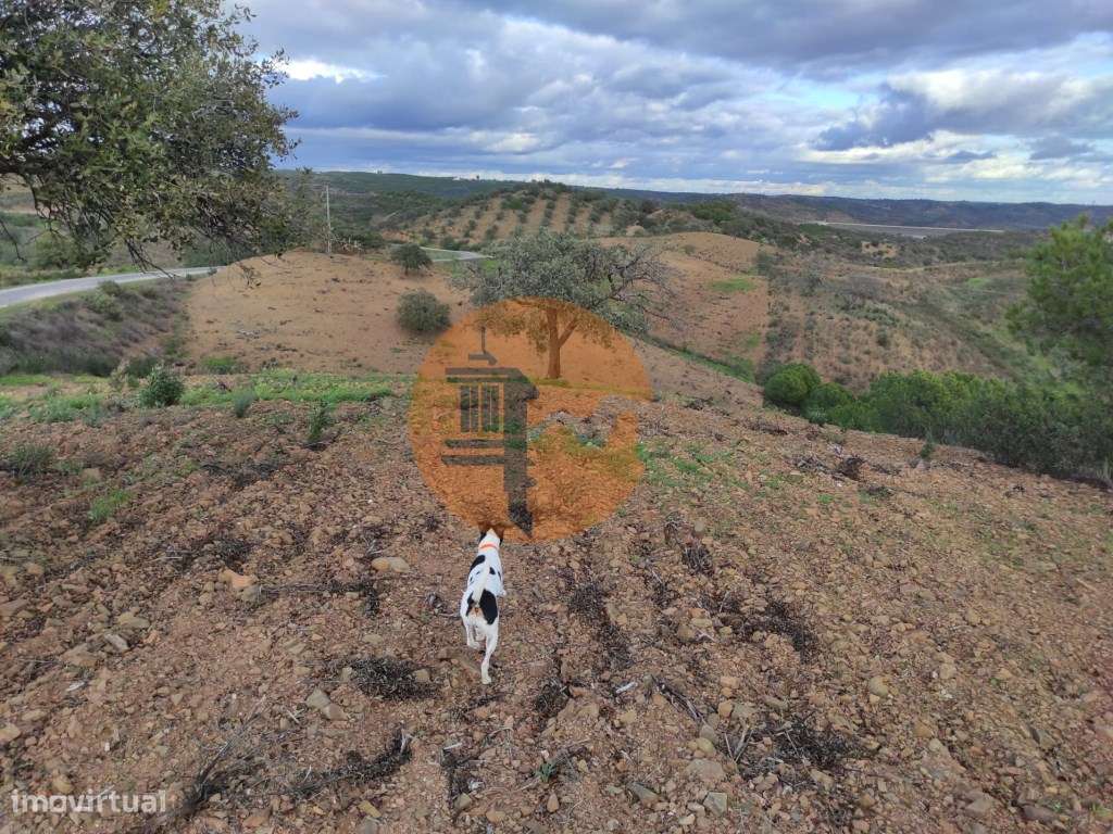 TERRENO COM 55.800 M2 COM POSSIBILIDADE DE CONSTRUÇÃO - ALCARIAS GR... - Grande imagem: 3/28