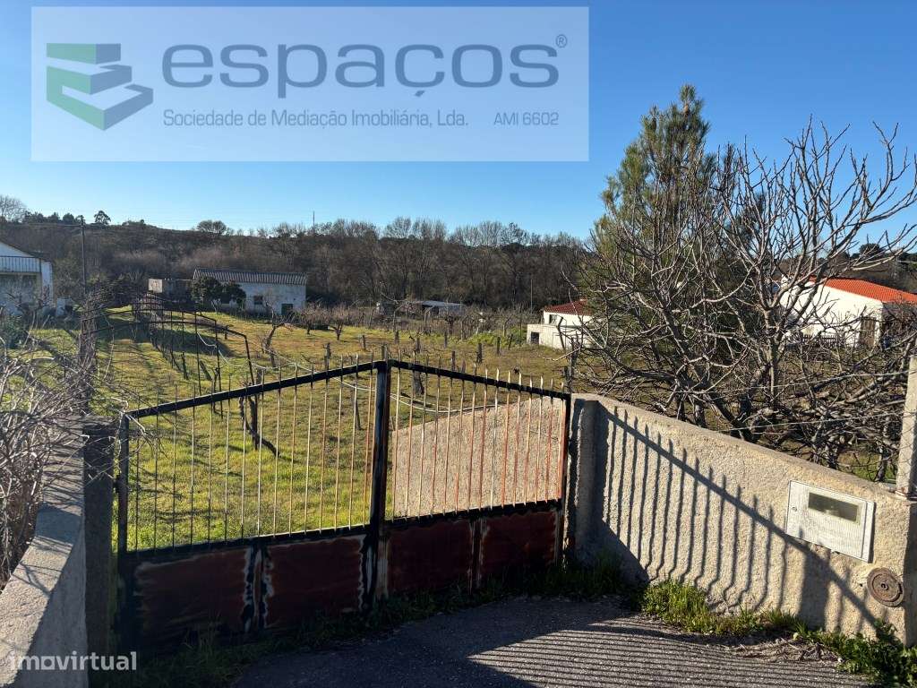 Quintinha a cinco minutos do centro de Castelo Branco - Grande imagem: 3/17