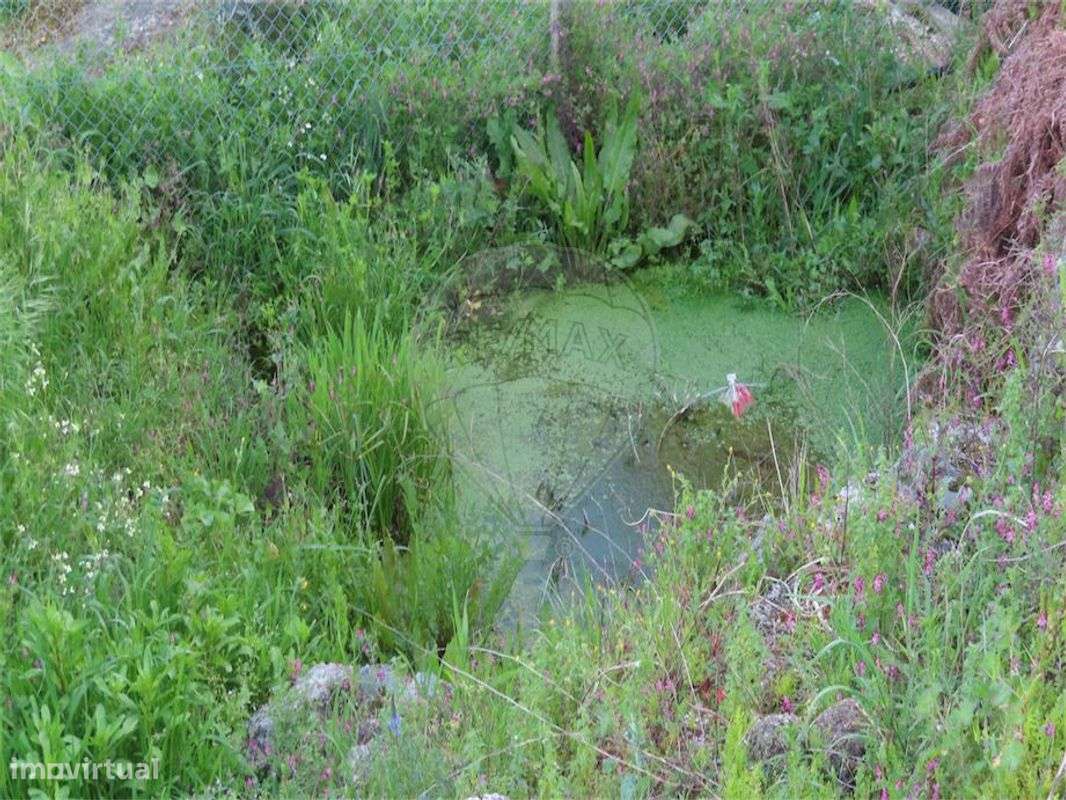 Quinta  para venda - Grande imagem: 4/50