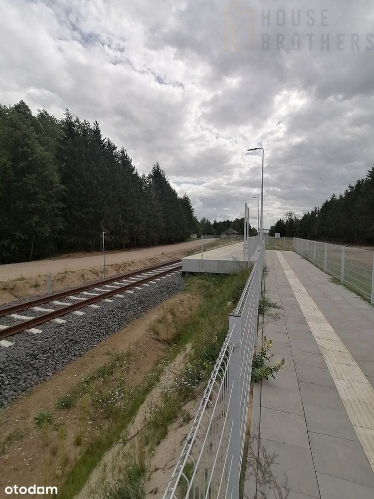 Działka po zabudowę w gm. Chorzele - Raszujka. - Pełny obrazek: 5/5