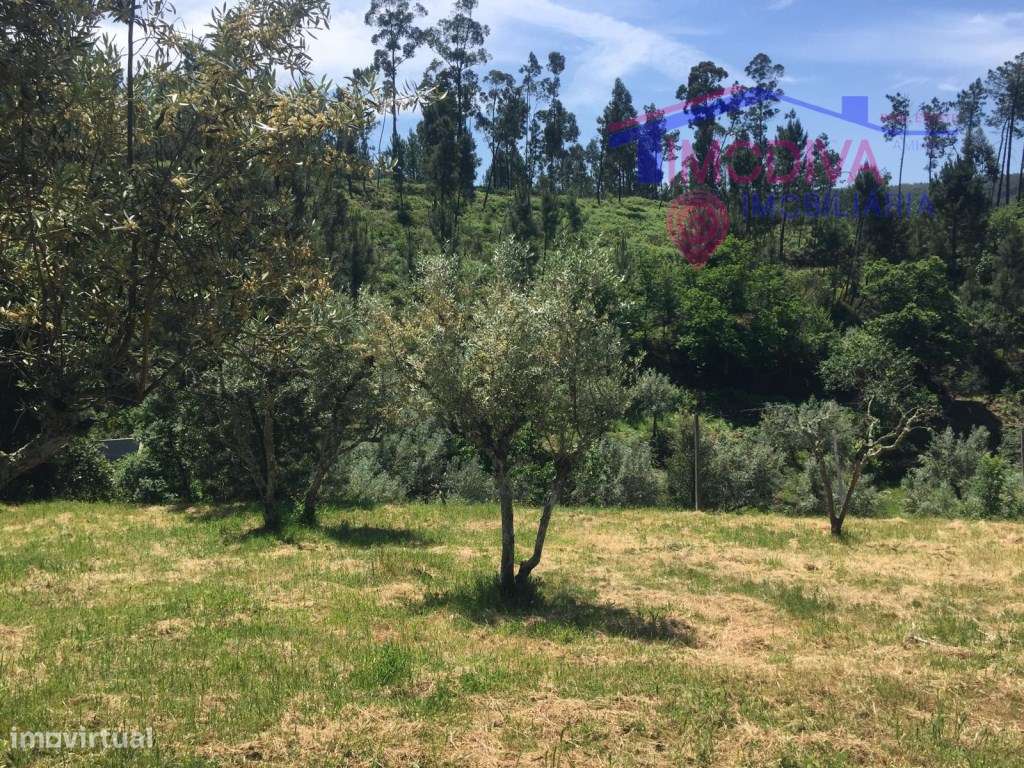 Terreno Rústico com uma área total de 22800m2. - Grande imagem: 2/13