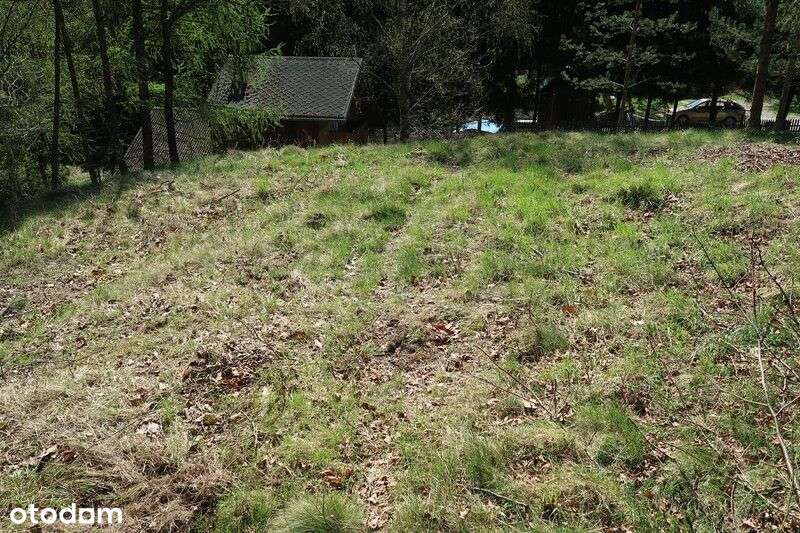 Janowice Wlk. Mały dom 3 pok. 65 m2-9