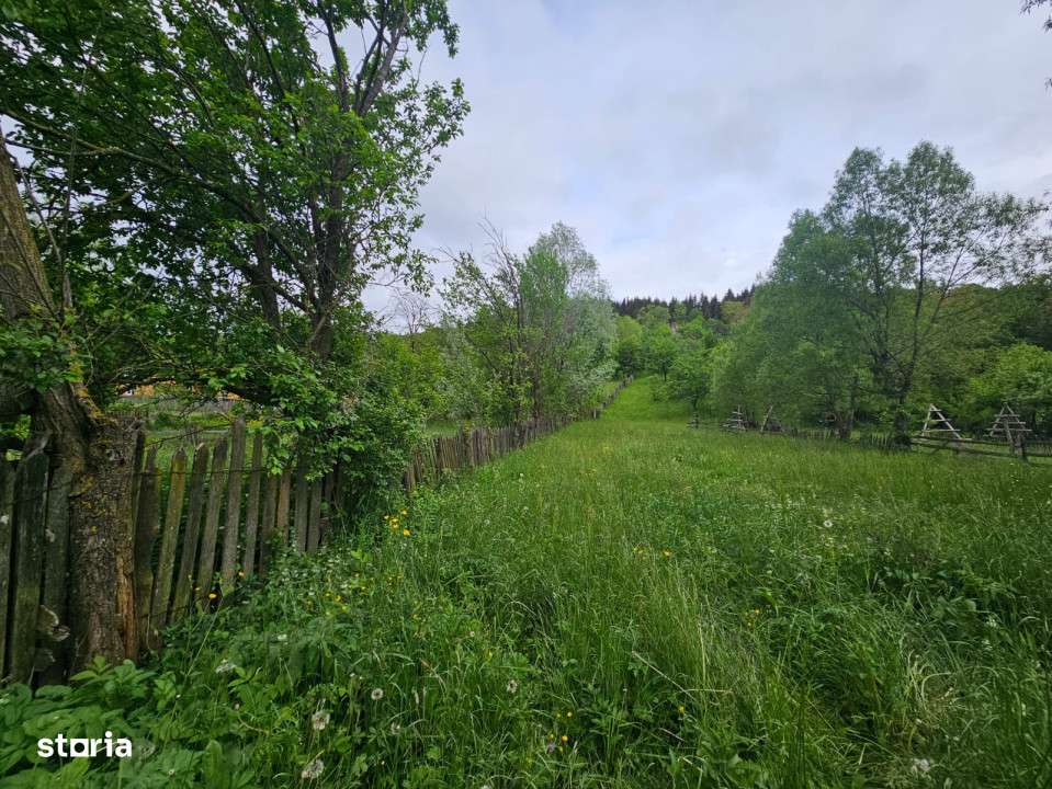 TEREN VANZARE VALEA DOFTANEI - Imagine principală: 5/6