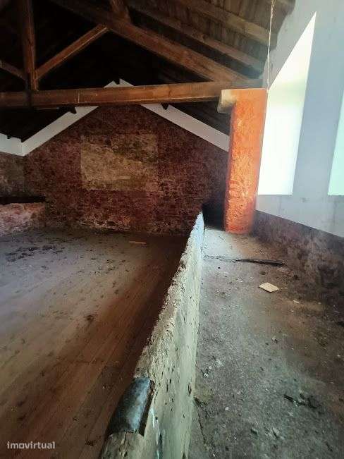 Quintinha em plena lezíria ribatejana, ideal para projeto turístico!-30