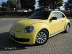 Volkswagen Beetle - 15