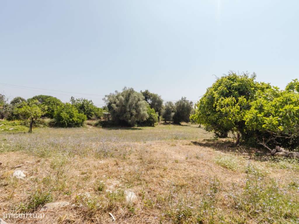 Terreno para construção em Vila Nova-Cantanhede - Grande imagem: 4/11