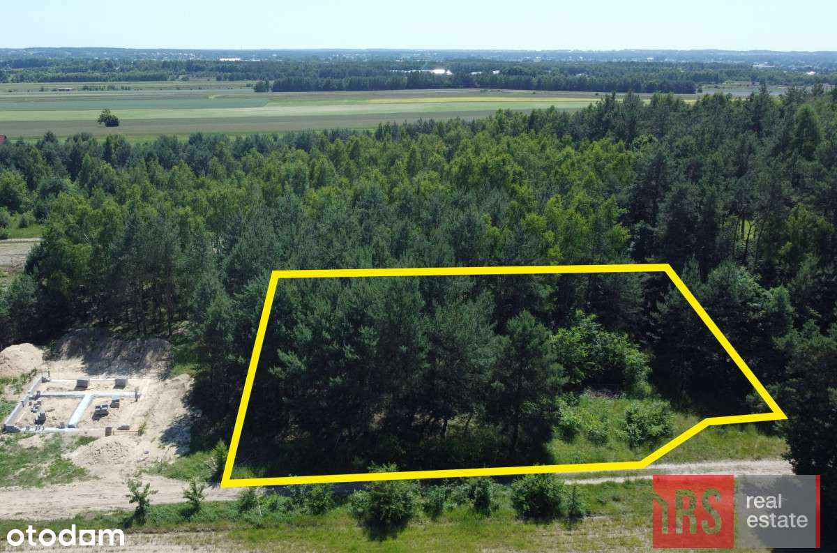 Zamieszkaj pod samym lasem! - Pełny obrazek: 4/4