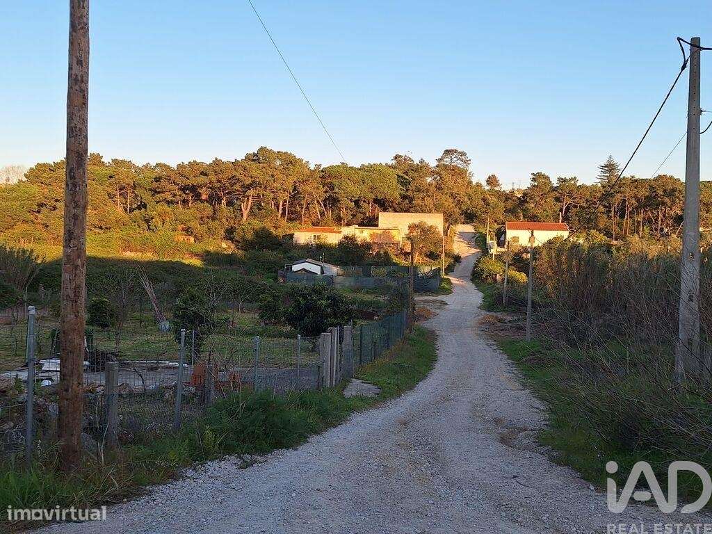 Terreno Agrícola em Caparica e Trafaria - Grande imagem: 5/12