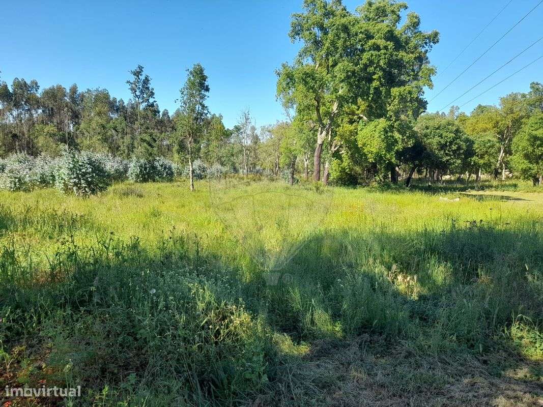 Terreno  para venda - Grande imagem: 2/10