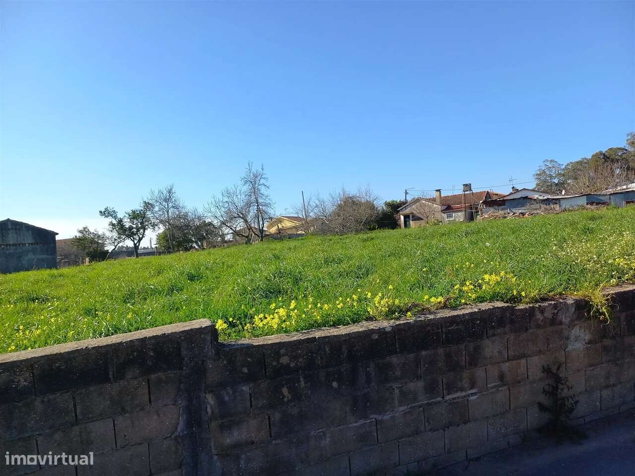 Terreno Rústico em São Martinho da Gândara, Oliveira de Azeméis - Grande imagem: 3/5