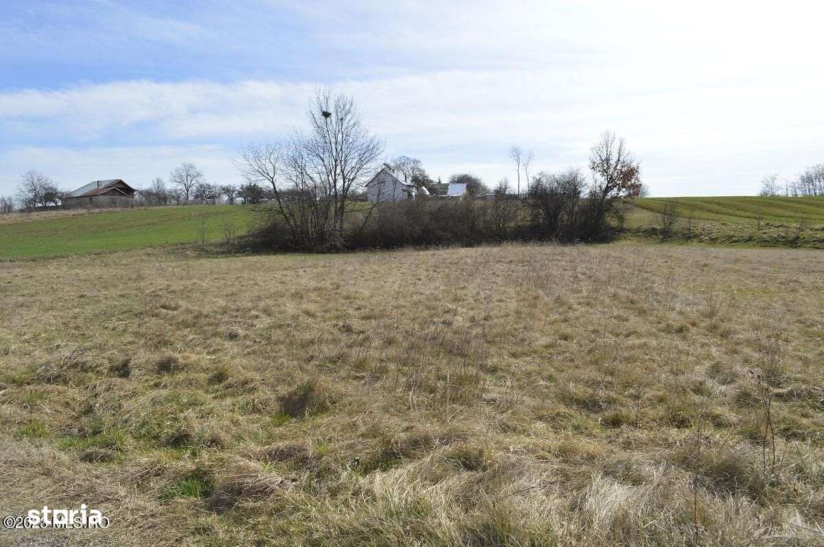 Suseni - Teren intravilan rezidential, suprafata 4000 mp - Imagine principală: 5/15