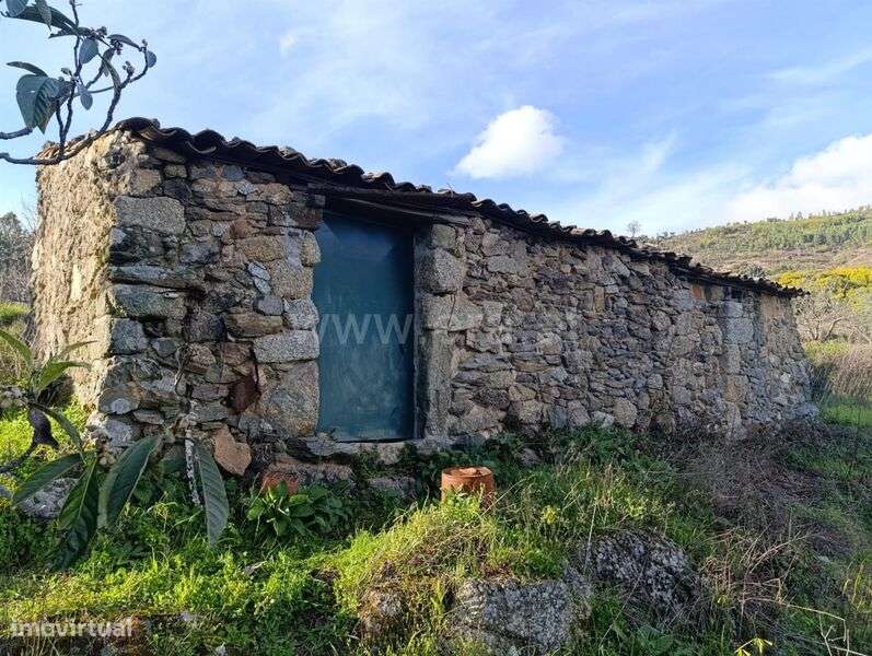 Quinta / Fundão, Vale Prazeres - Grande imagem: 4/20