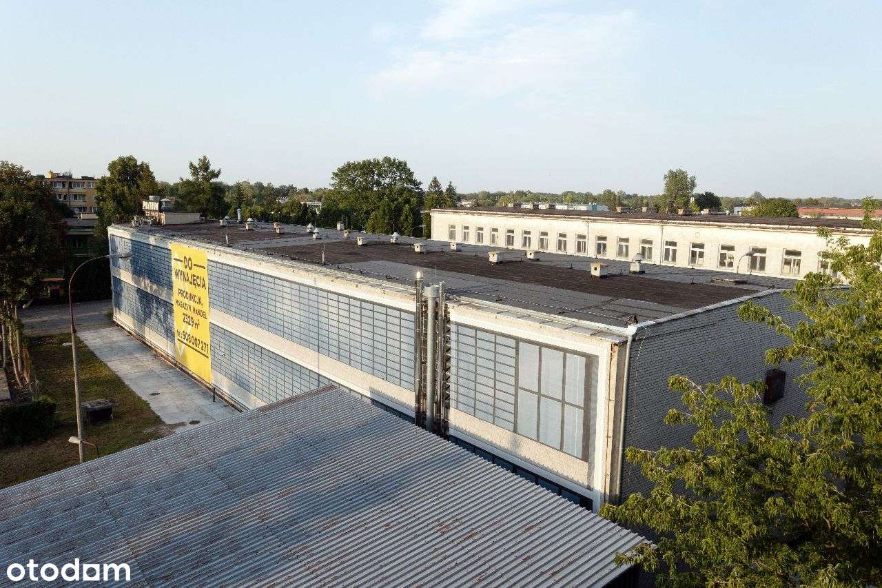 Na sprzedaż obiekt w Błoniu o pow. 2329m2 - Pełny obrazek: 3/20